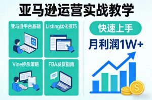 亚马逊运营实战教学，亚马逊平台+Listing优化+Vine秒杀+FBA发货等，快速上手，实现店铺月利润1W-聊项目