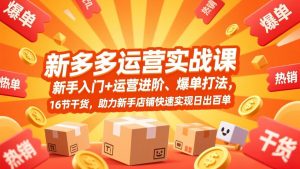 拼多多运营实战课，新手入门+运营进阶、爆单打法，16节干货，助力新手店铺快速实现日出百单-聊项目