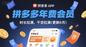 拼多多年费会员，实经验分享操，时长拉满，干货拉满(更新26年2月)-聊项目