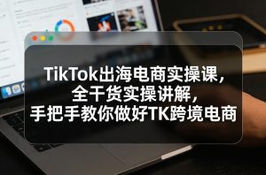 TikTok出海电商实操课，全干货实操讲解，手把手教你做好TK跨境电商-聊项目