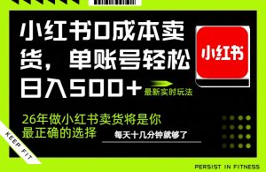 小红书0成本AI卖货，单账号轻松日入500+，完全托管AI，可矩阵放大-聊项目