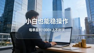 2026新项目，小白也能稳操作，每单盈利1000+上不封顶-聊项目
