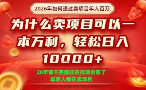 一单净利润1K+，26年想年入100个W，死磕卖项目就够了【揭秘】-聊项目