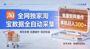 全网独家,淘宝数据全自动采集项目,批量可矩阵,单机轻松日入300【揭秘】-聊项目