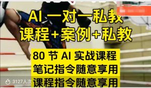 AI指令实战课，课程+案例，80节AI实战课程，笔记指令随意享用，课程指令随意享用(更新26年3月)-聊项目