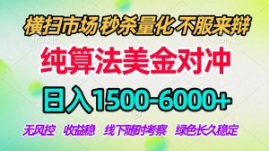 2026美金掘金新风口-纯算法对冲震撼上线！日入1500-6000+，长久合规稳健，轻松摆脱死工资-聊项目