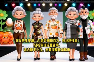 银发养生赛道，AI走秀圈粉百万，粉丝粘性高，轻松实现流量变现，适合新手小白，全套流程玩法解析-聊项目