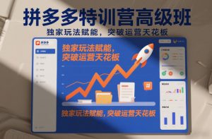 拼多多特训营高阶班，独家玩法赋能，突破运营天花板(更新26年3月27日)-聊项目