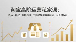 淘宝高阶运营私家课(更新26年4月-聊项目