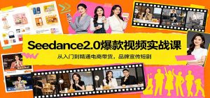 Seedance2.0爆款视频实战课：从入门到精通电商带货，品牌宣传短剧-聊项目