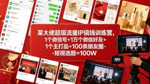 某大佬超级流量IP搞钱训练营，1个微信号+1万个微信好友+1个主打品+100条朋友圈-短视选题=100W-聊项目