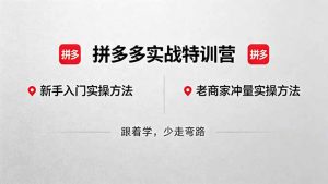 拼多多实战特训营(更新5月3-聊项目