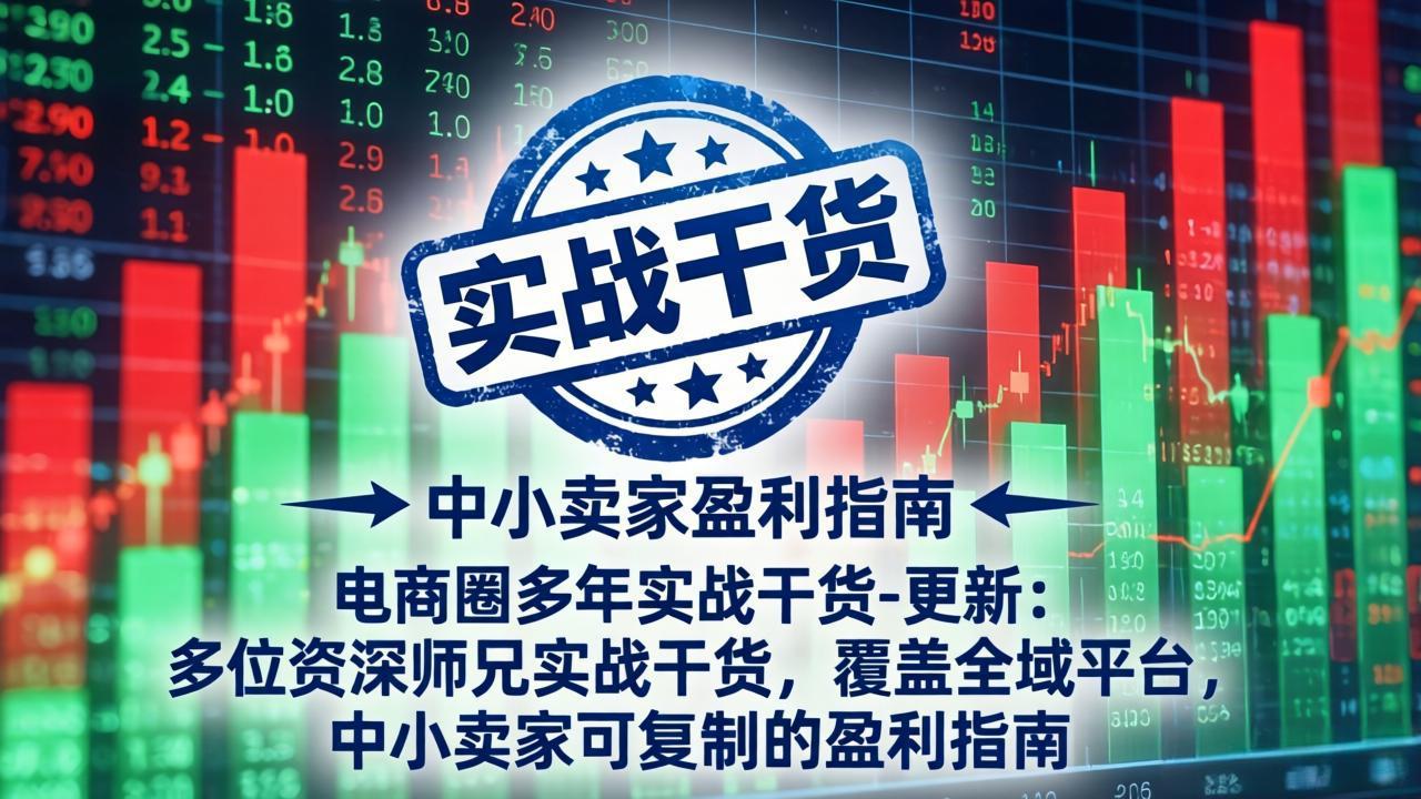 电商圈多年实战干货-更新5月10：多位资深师兄实战干货/覆盖全域平台，中小卖家可复制的盈利指南-聊项目
