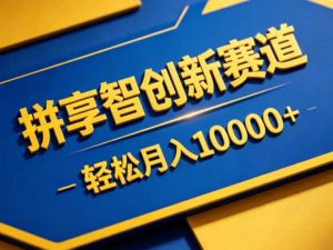 拼享智创新赛道，轻松月入1W+，门槛极低、收益稳定、可长期放大的轻资产项目【揭秘】-聊项目