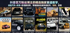 抖音百万粉丝博主的精选独家赛道教学,涵盖汽车+体育+影视解说等,零基础也能快速起号、涨粉、变现-聊项目