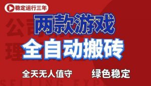 海外游戏全自动搬砖,日入1k+,全天无人值守,绿色稳定!【揭秘】-聊项目