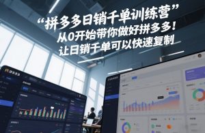 拼多多日销千单训练营,从0开始带你做好拼多多,让日销千单可以快速复制(更新26年6月)-聊项目