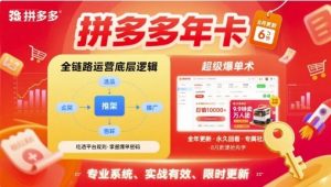 拼多多年卡，拼多多全链路运营底层逻辑，超级爆单术【更新26年6月】-聊项目