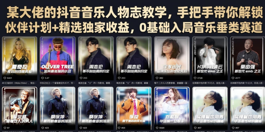 某大佬的抖音音乐人物志教学，手把手带你解锁伙伴计划+精选独家收益，0基础入局音乐垂类赛道-聊项目