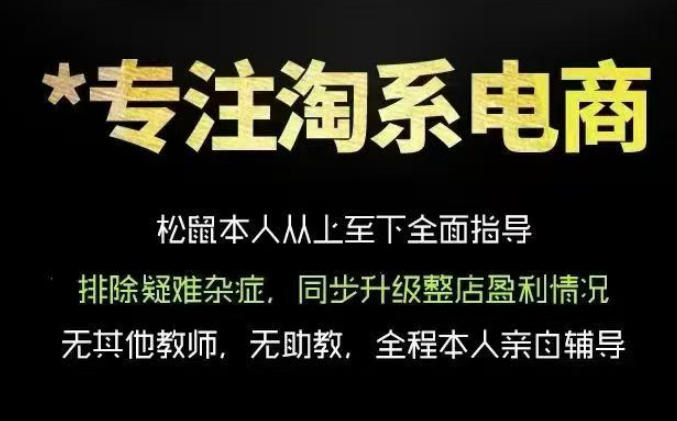 松鼠会电商VIP课程，从基础布局到高阶优化，助你掌握淘宝运营逻辑，提升店铺流量与转化(更新0711)-聊项目