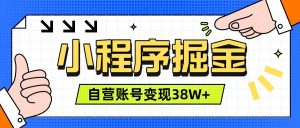 微信小程序掘金，团队自营小程序累计变现38W+，稳定运营三年，一部手机即可操作-聊项目