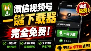 手机端也可下载微信视频号了?完全免费使用,一键解析视频号原视频和封面视频号下载助手v1.1-聊项目