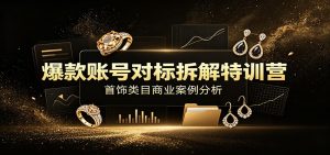 爆款账号对标拆解特训营:首饰类目商业案例分析,配套完整资料内容-聊项目
