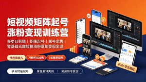 短视频矩阵起号涨粉变现训练营|多类目剪辑·矩阵起号·账号出售,0基础无露脸稳涨粉落地变现全课-更新-聊项目