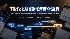 TikTok从0到1运营全流程：平台认知×刷机SOP×指纹浏览器×爆款对标×Kalodata选品×店铺后台×达人建联-聊项目